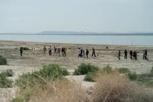 - Alianza Coachella Valley